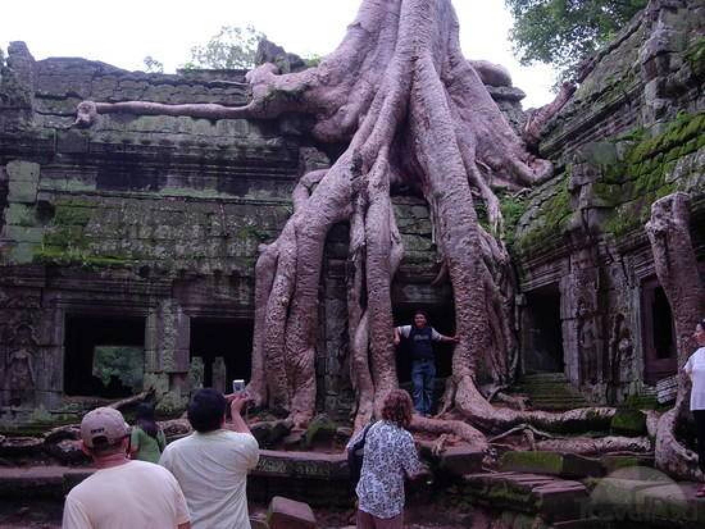 Ta Prohm, ett mycket gammalt tempel i Kambodja.